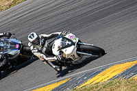 anglesey-no-limits-trackday;anglesey-photographs;anglesey-trackday-photographs;enduro-digital-images;event-digital-images;eventdigitalimages;no-limits-trackdays;peter-wileman-photography;racing-digital-images;trac-mon;trackday-digital-images;trackday-photos;ty-croes